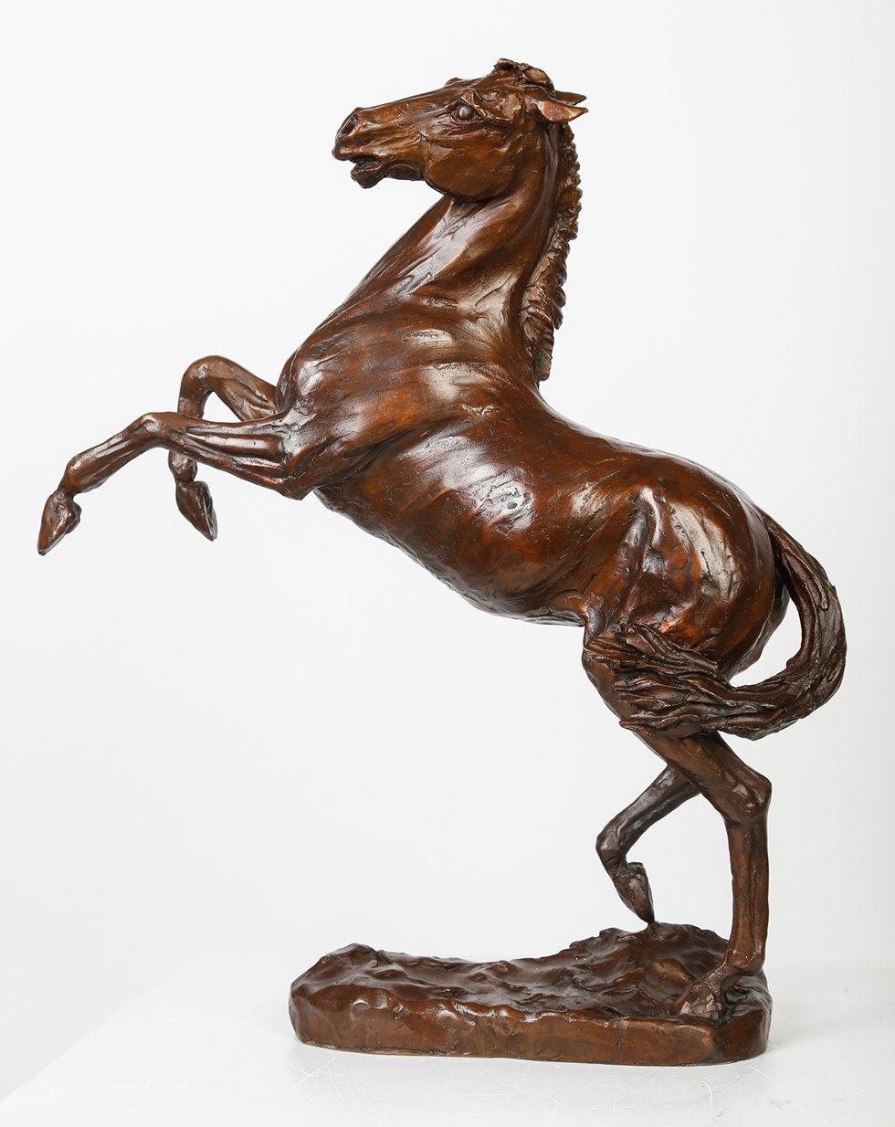 rearing horse bronze